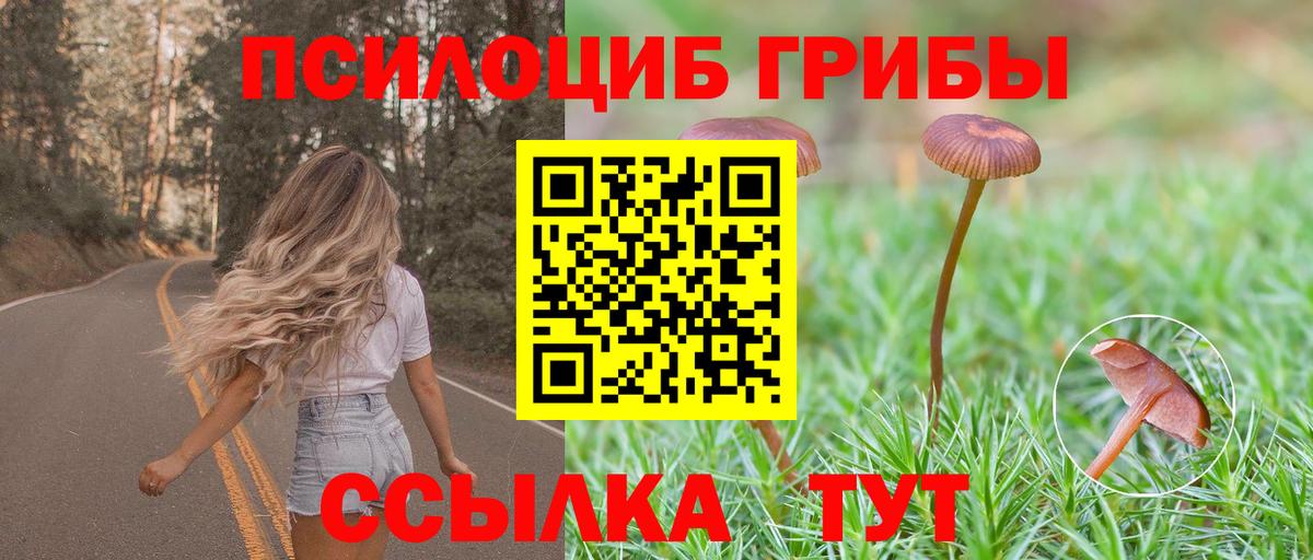 Псилоцибиновые грибы GOLDEN TEACHER  Псилоцибиновые грибы Magic Shrooms  Вход с VPN  Чернушка 
